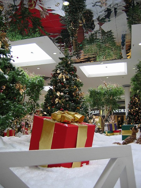christmas 2005 015.jpg